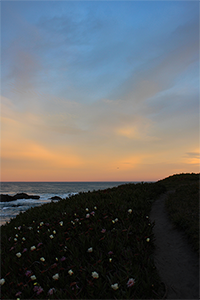 Heart Island